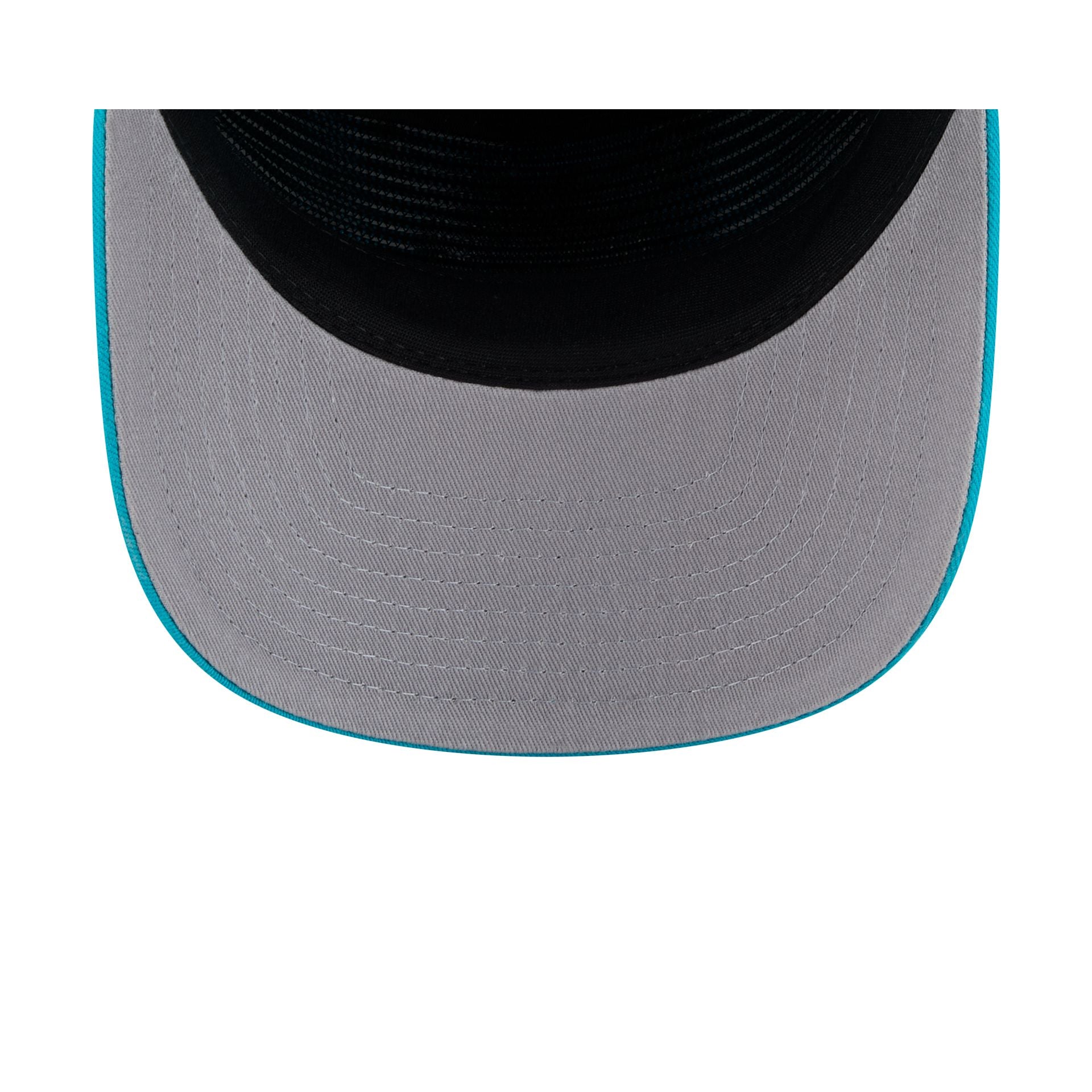 Charlotte Hornets Team 19TWENTY Snapback Hat