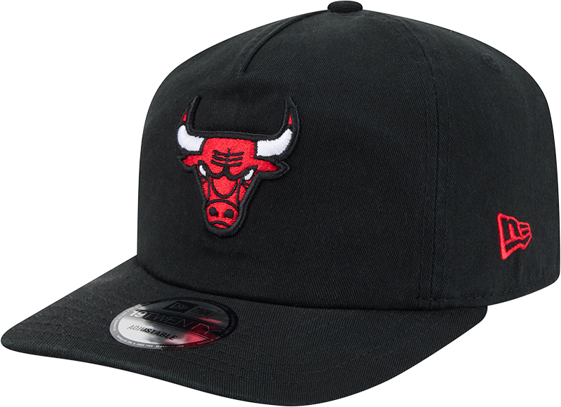 Chicago Bulls Team 19TWENTY Snapback Hat