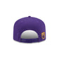 Minnesota Vikings Team 19TWENTY Snapback Hat