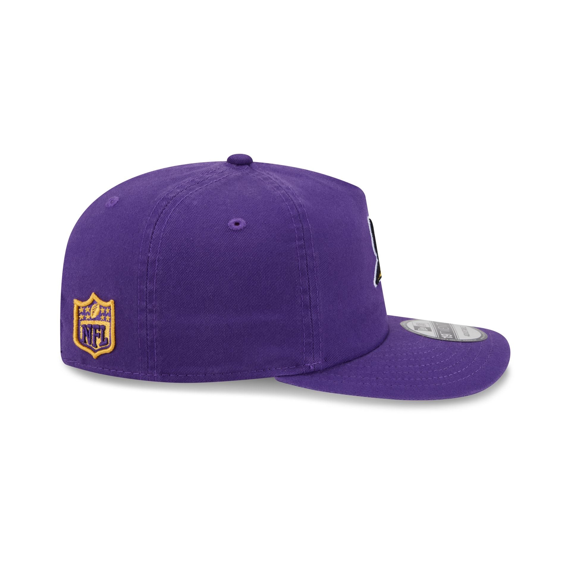 Minnesota Vikings Team 19TWENTY Snapback Hat