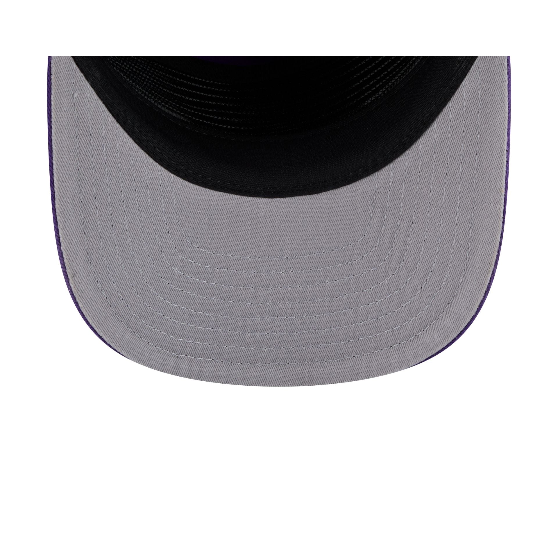 Minnesota Vikings Team 19TWENTY Snapback Hat