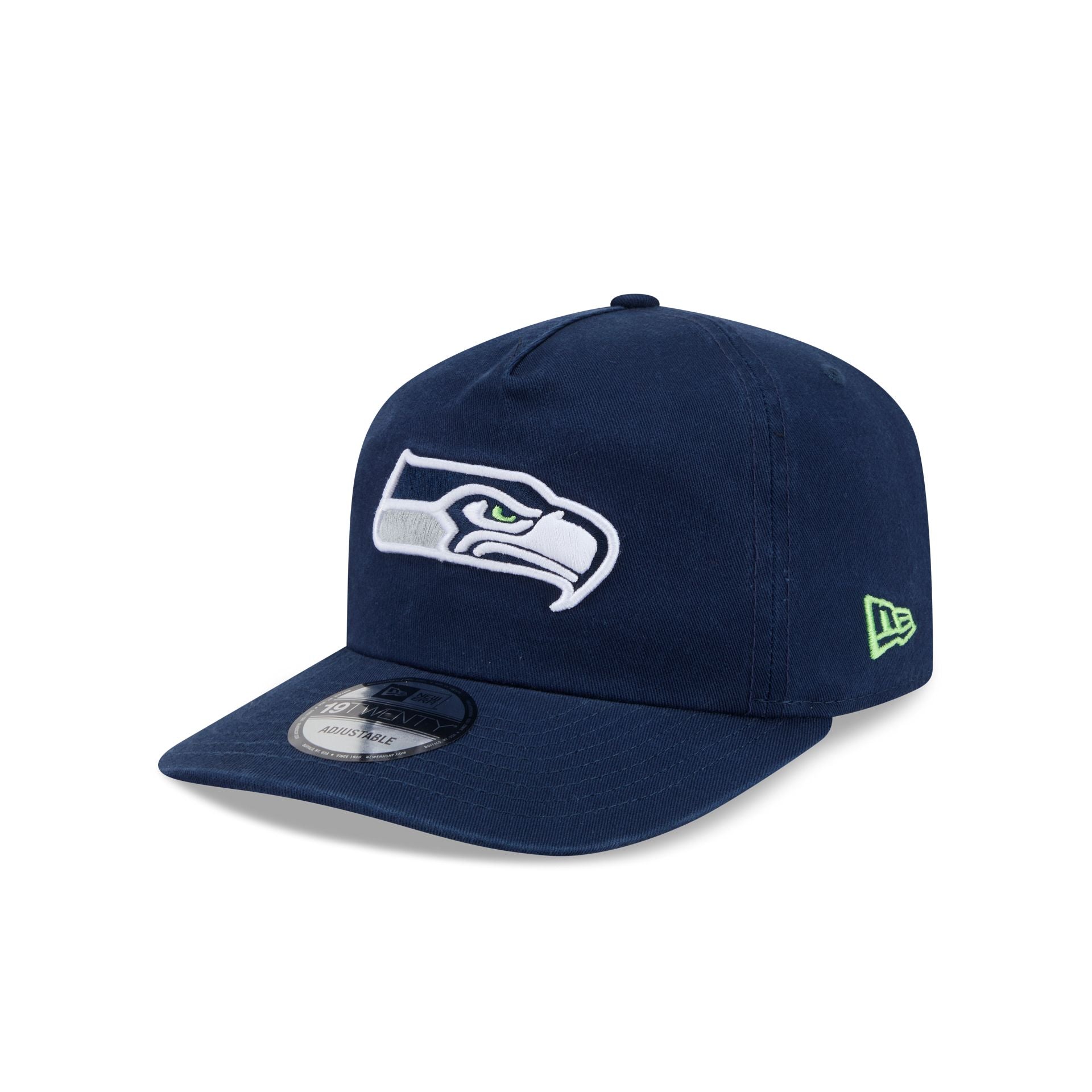 Seattle Seahawks Team 19TWENTY Snapback Hat