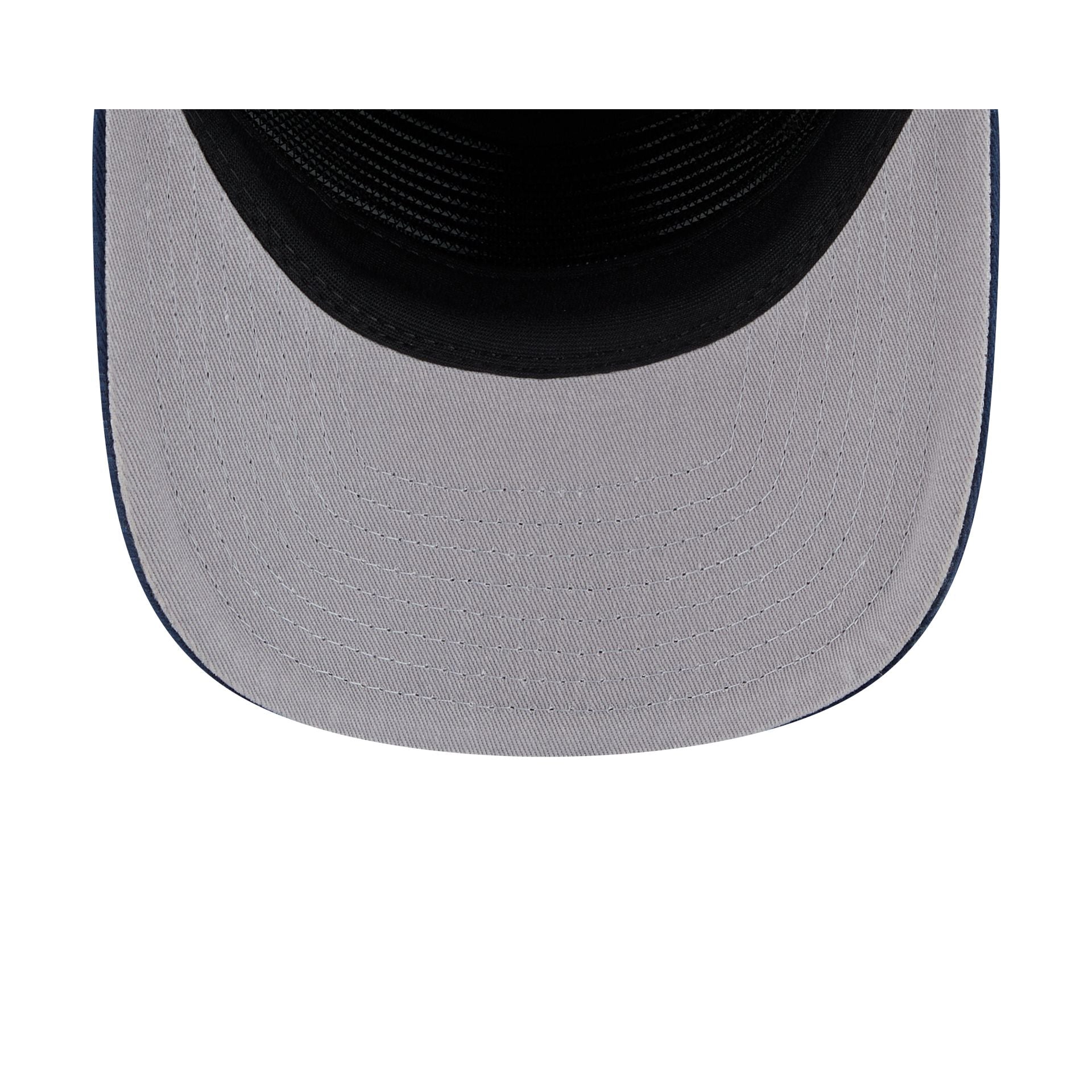 Seattle Seahawks Team 19TWENTY Snapback Hat