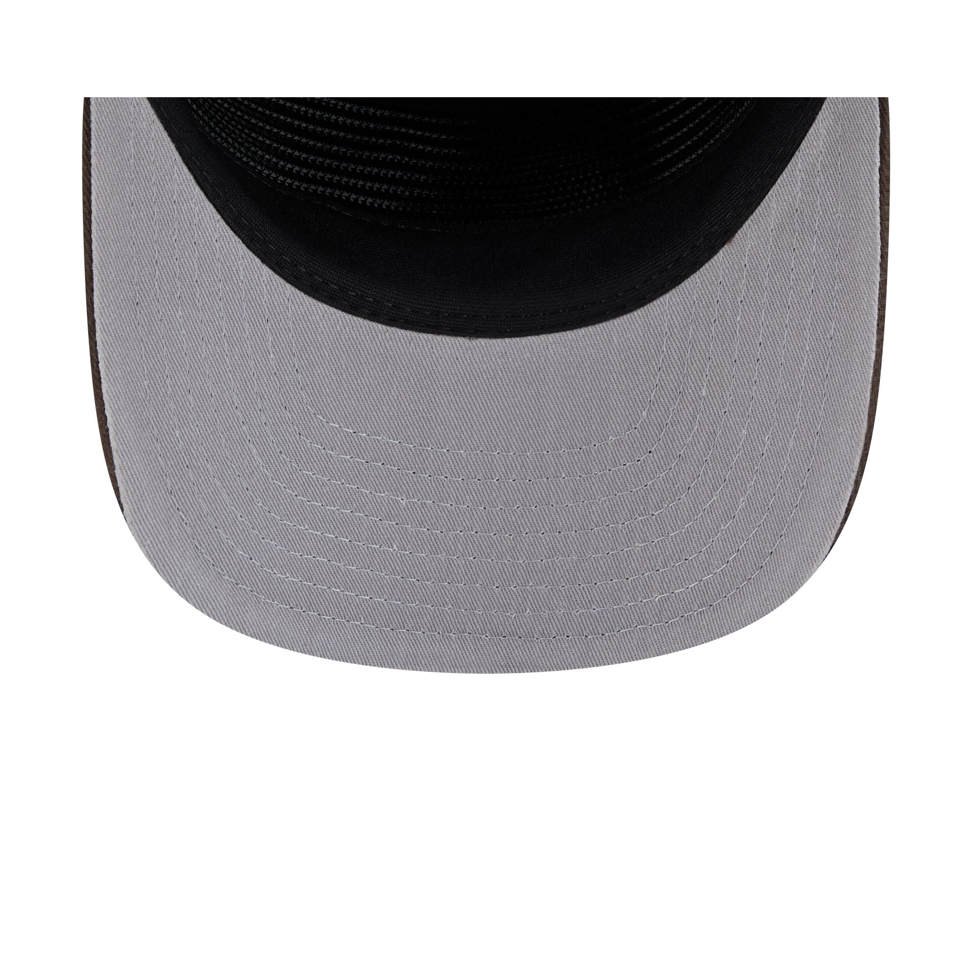 Cleveland Browns Team 19TWENTY Snapback Hat