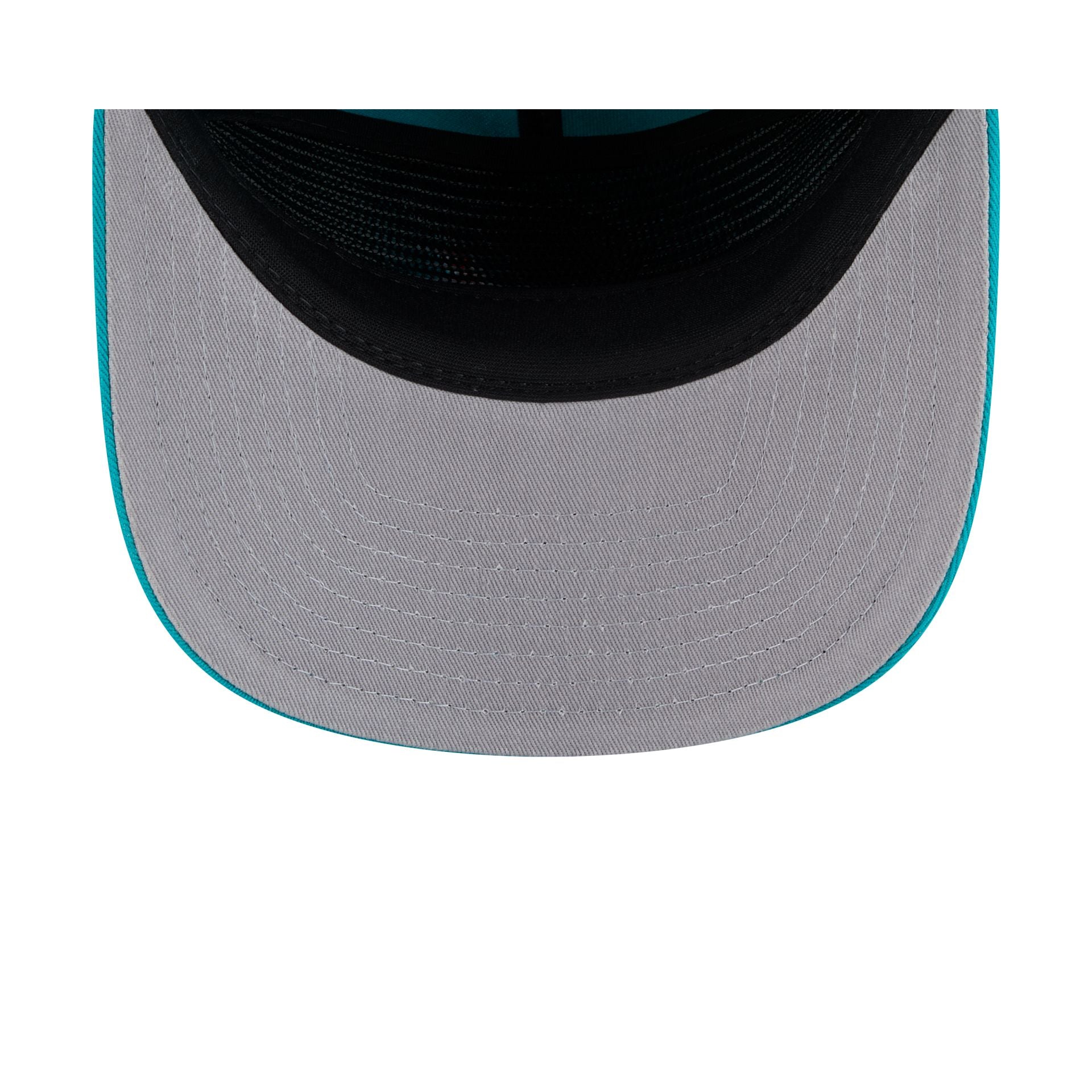 Miami Dolphins Team 19TWENTY Snapback Hat