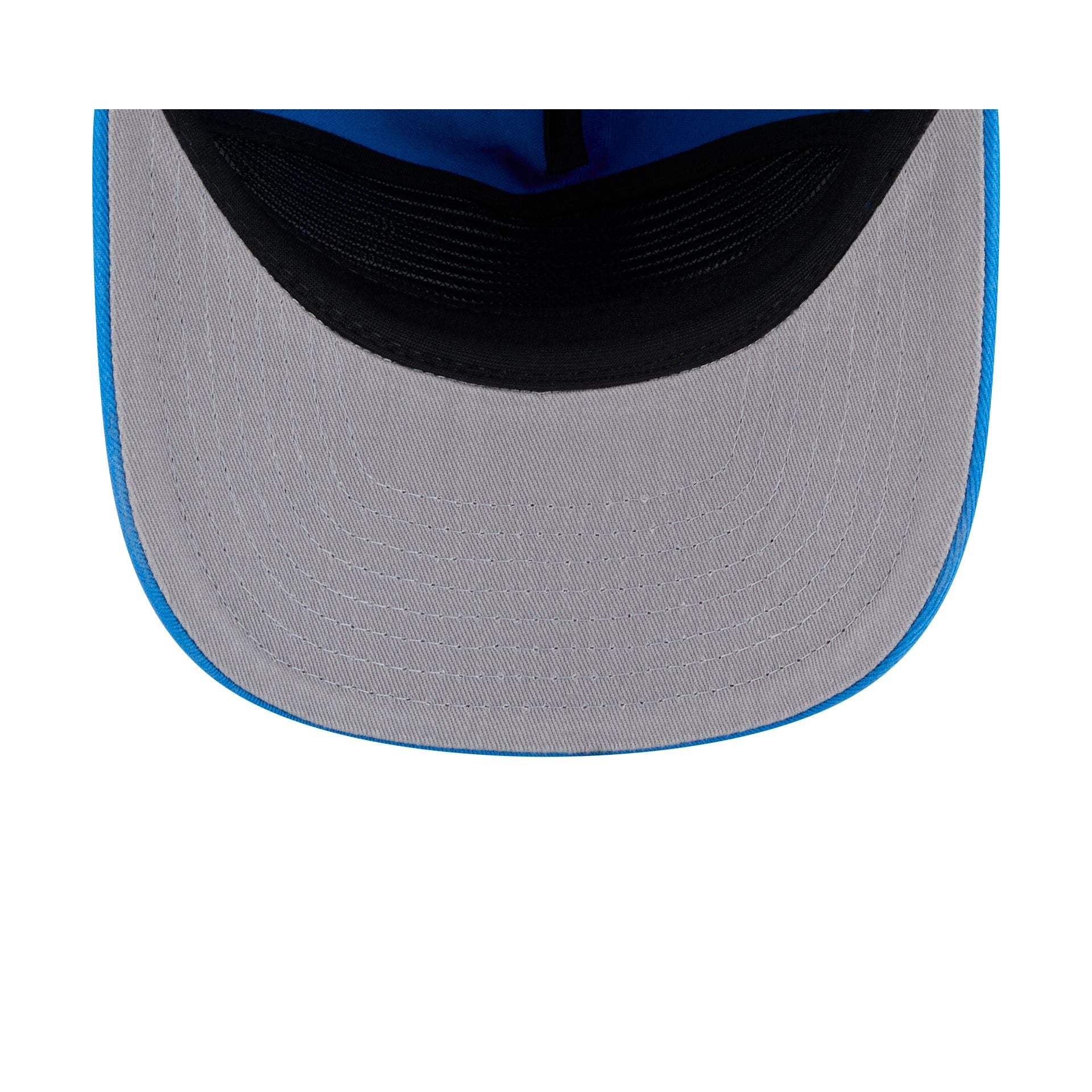 Detroit Lions Team 19TWENTY Snapback Hat