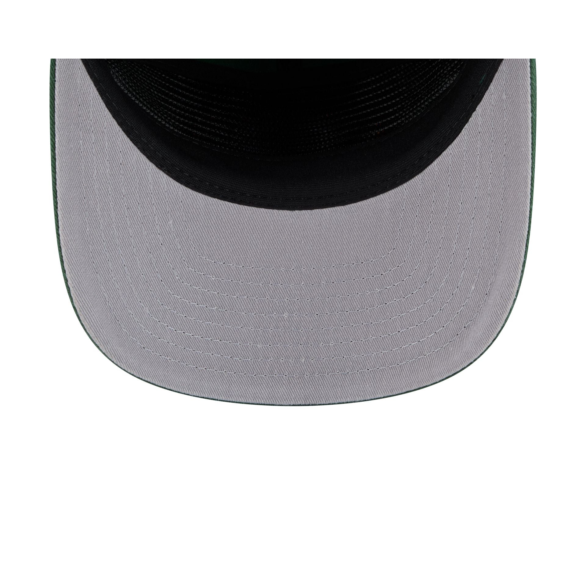 Green Bay Packers Team 19TWENTY Snapback Hat