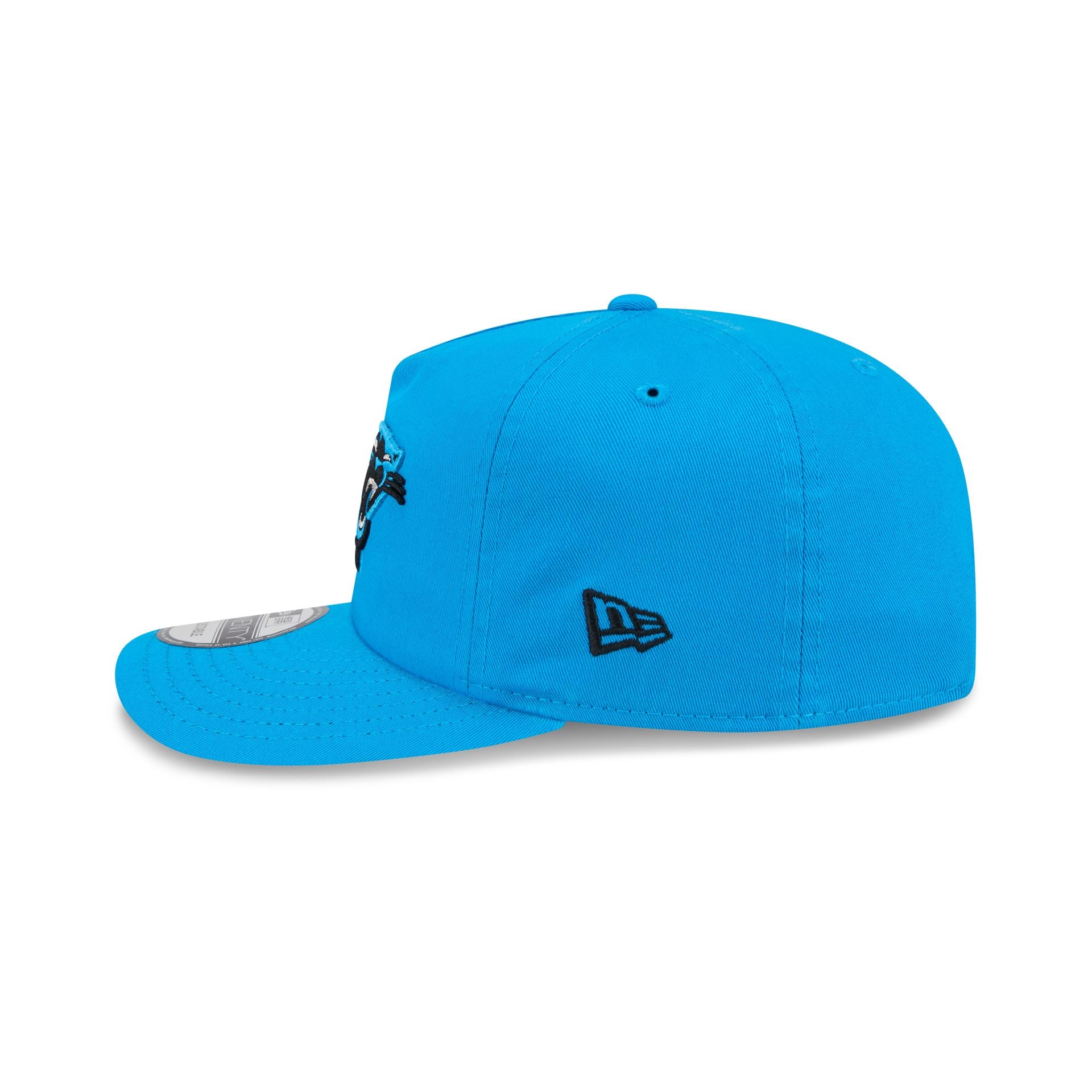 Carolina Panthers Team 19TWENTY Snapback Hat