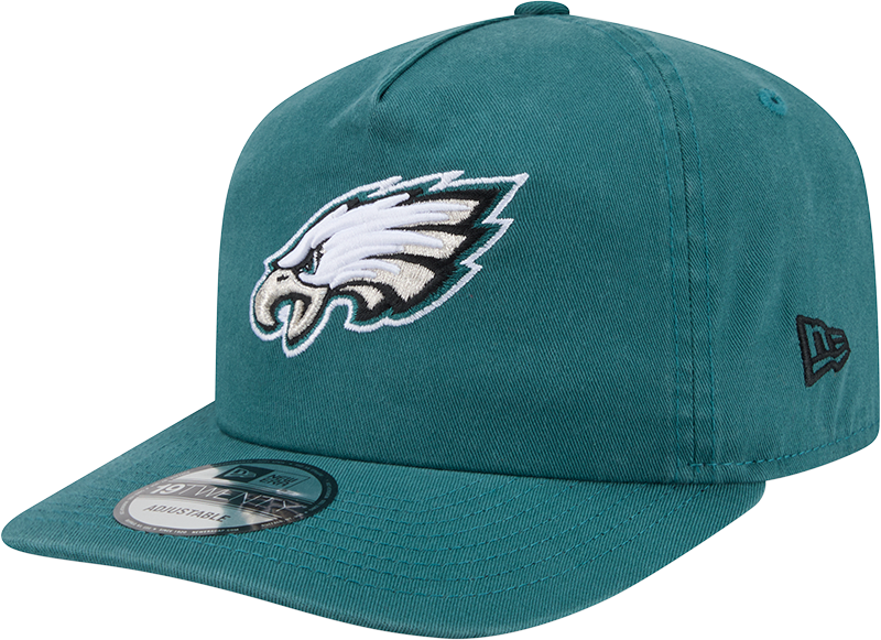 Philadelphia Eagles Team 19TWENTY Snapback Hat