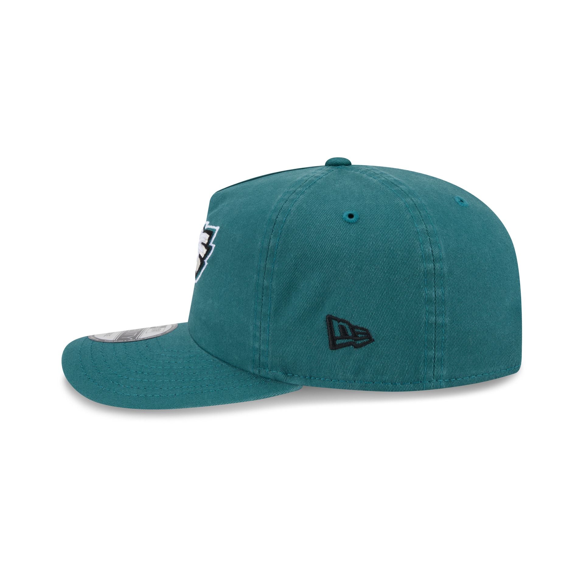 Philadelphia Eagles Team 19TWENTY Snapback Hat
