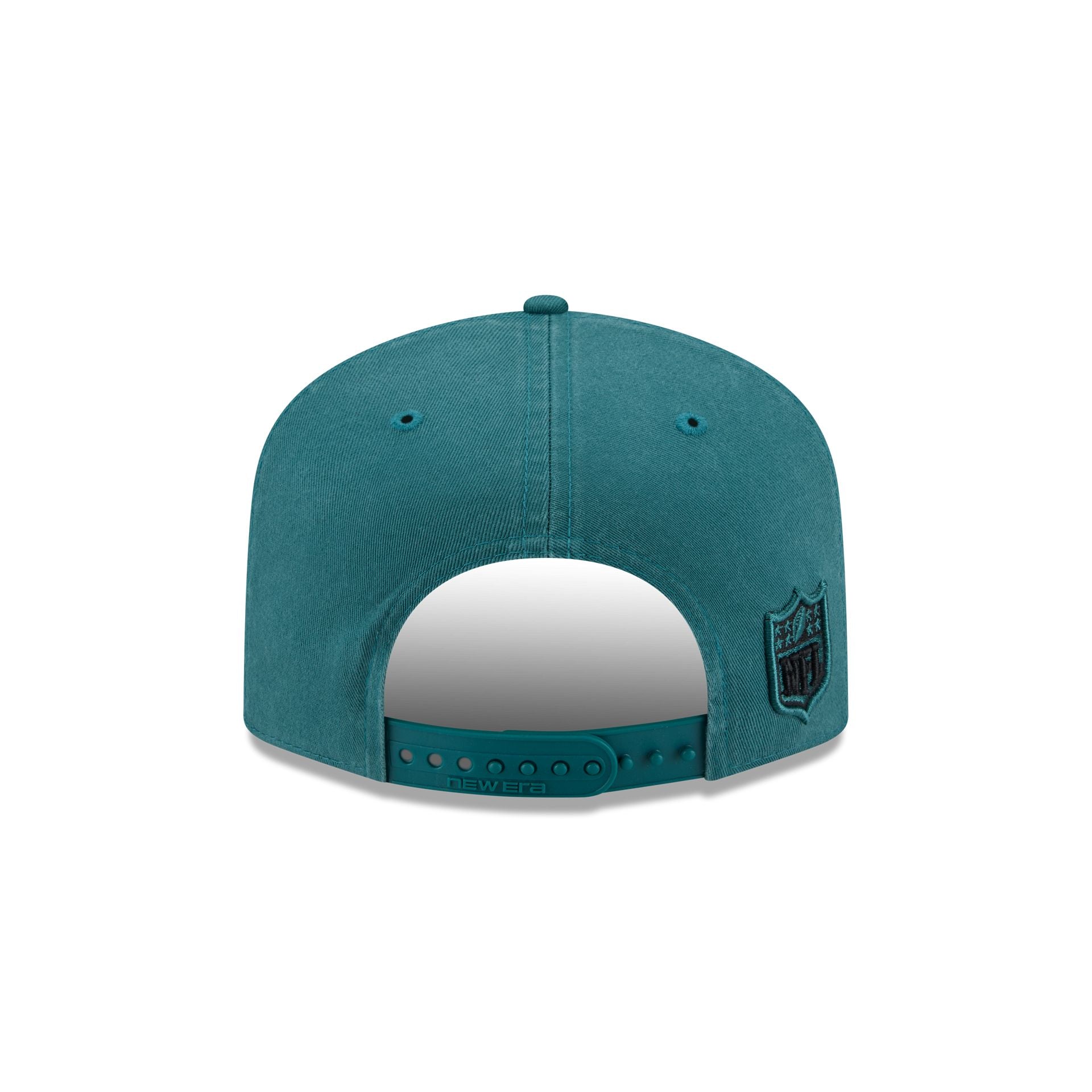 Philadelphia Eagles Team 19TWENTY Snapback Hat