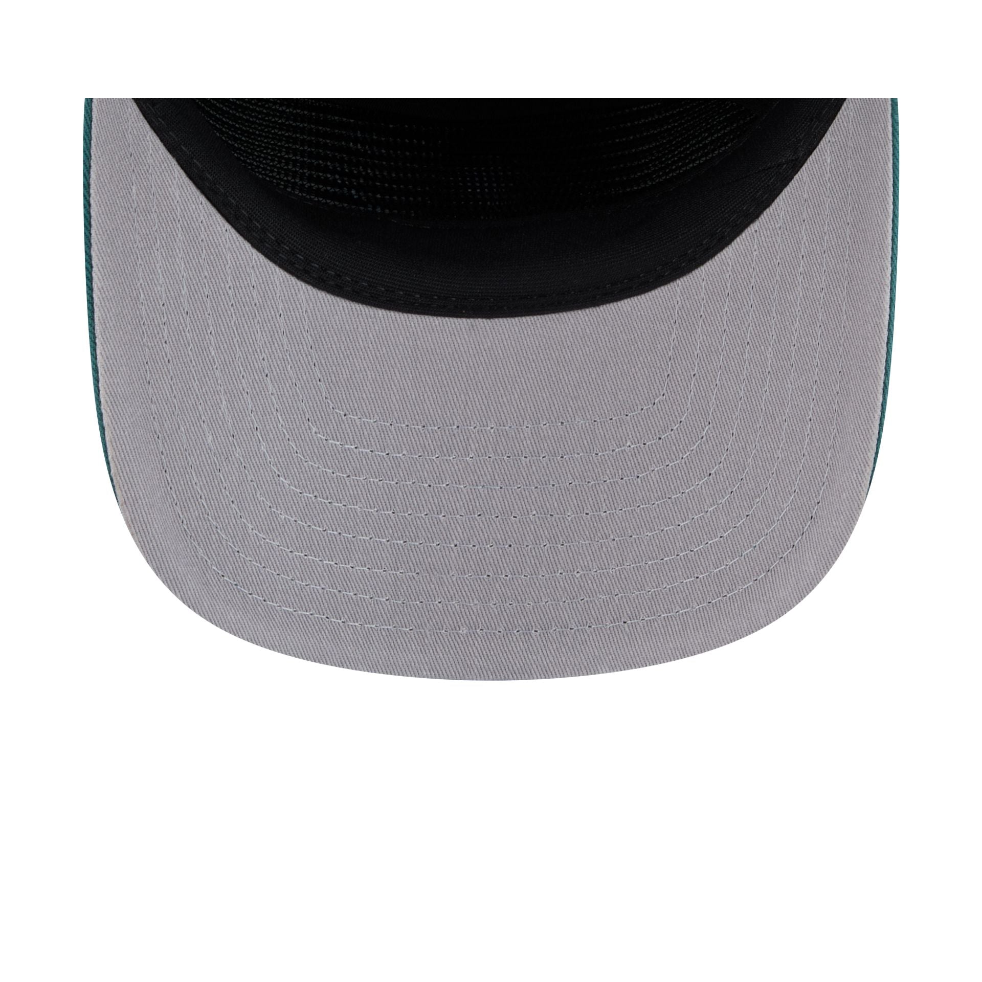 Philadelphia Eagles Team 19TWENTY Snapback Hat