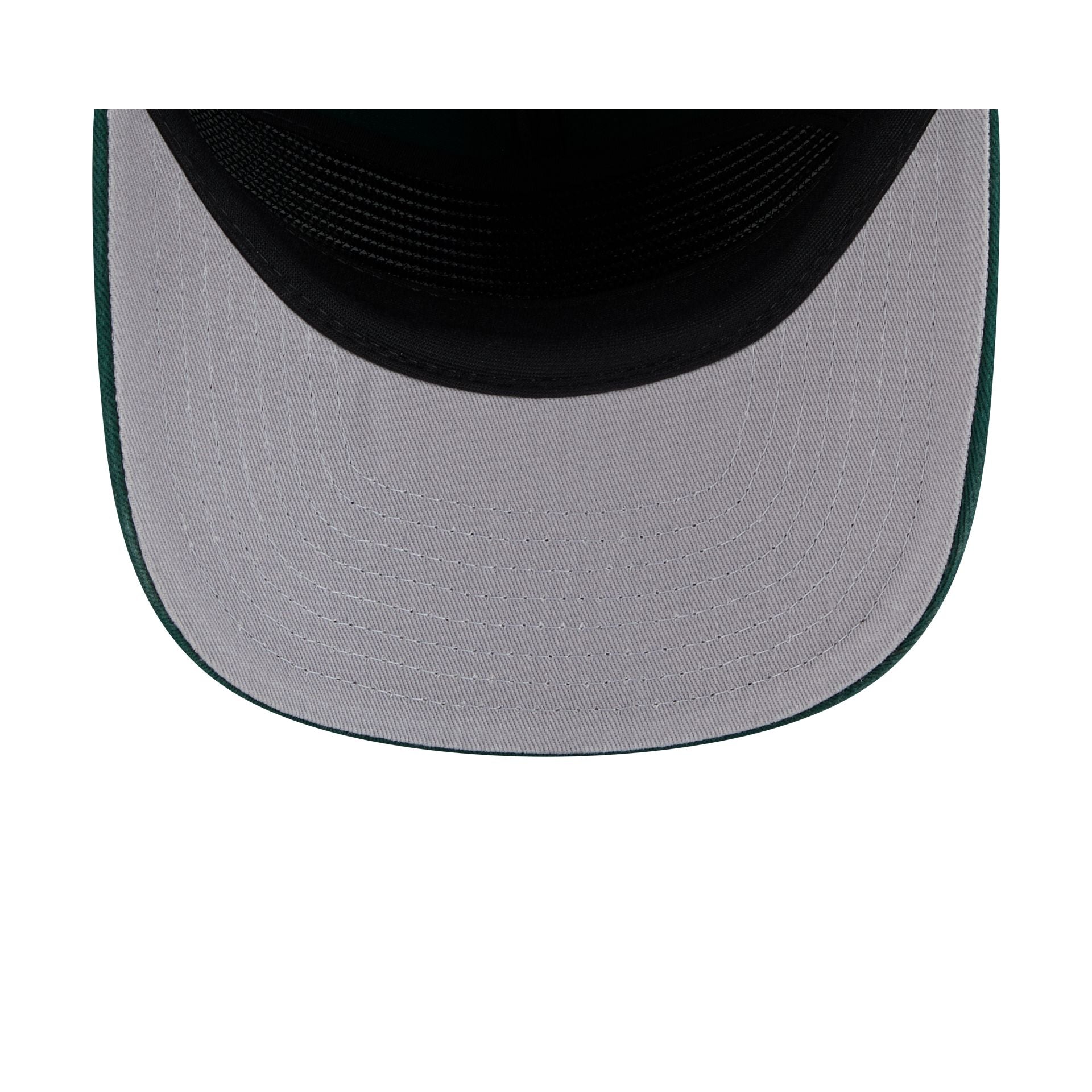 Minnesota Wild Team 19TWENTY Snapback Hat