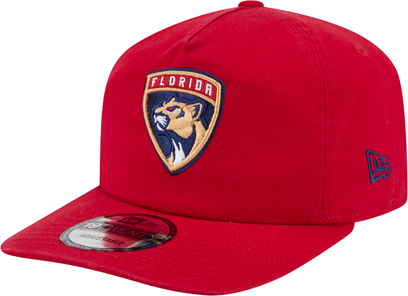Florida Panthers Team 19TWENTY Snapback Hat