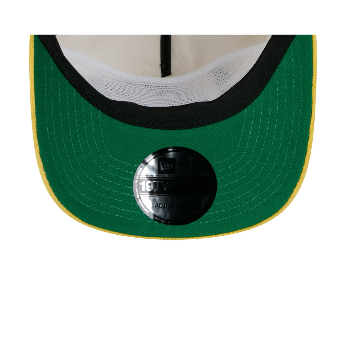 Green Bay Packers Retro Pack Team Ball 19TWENTY Snapback Hat