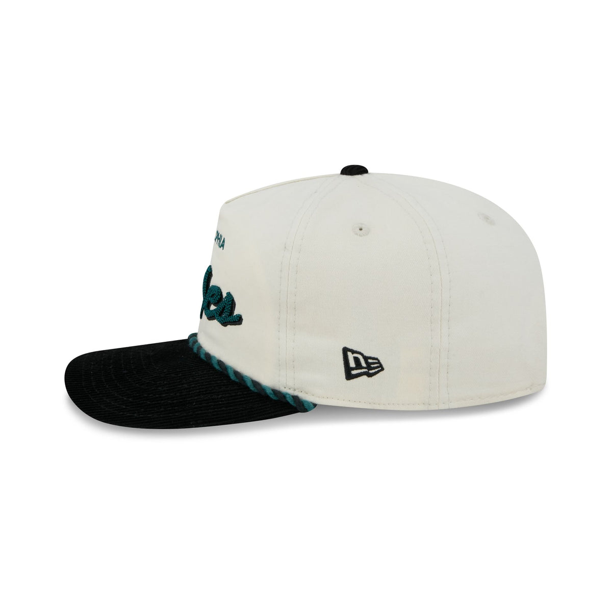 Philadelphia Eagles Retro Pack Script Rope 19TWENTY Snapback Hat