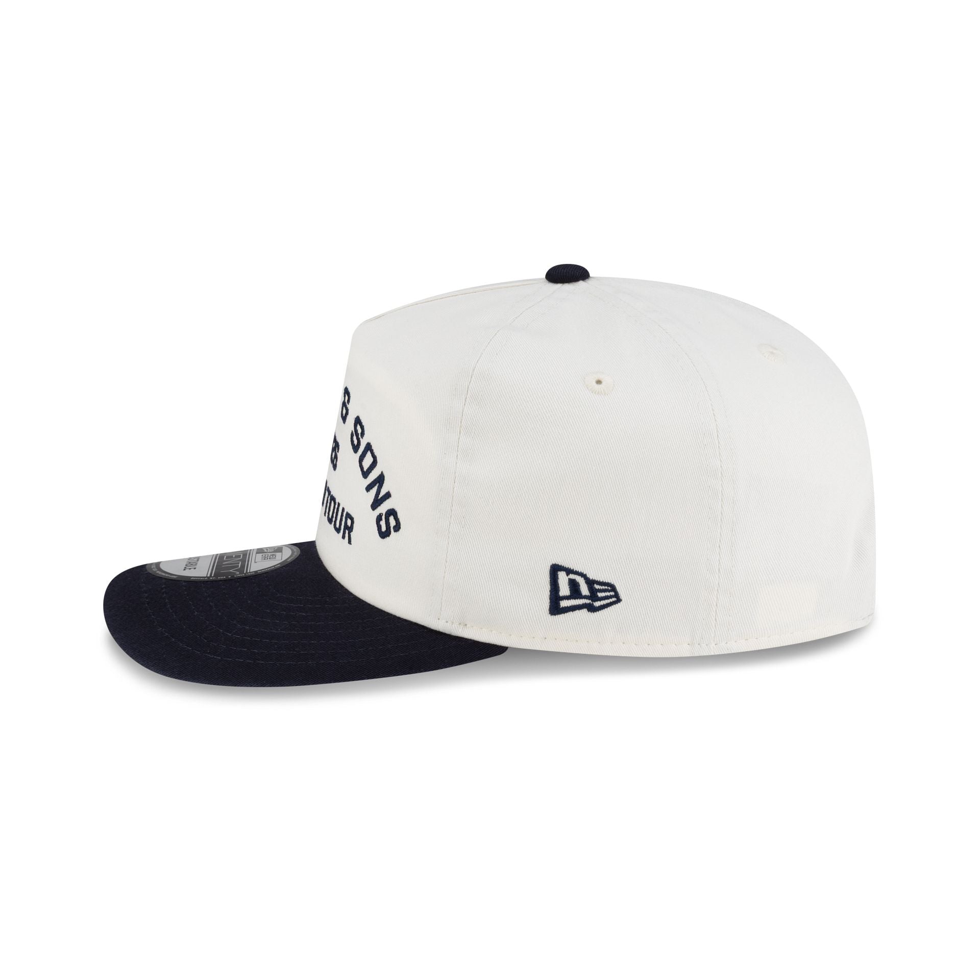Mumford & Sons x Boston Red Sox Fenway Park 19TWENTY Adjustable Hat