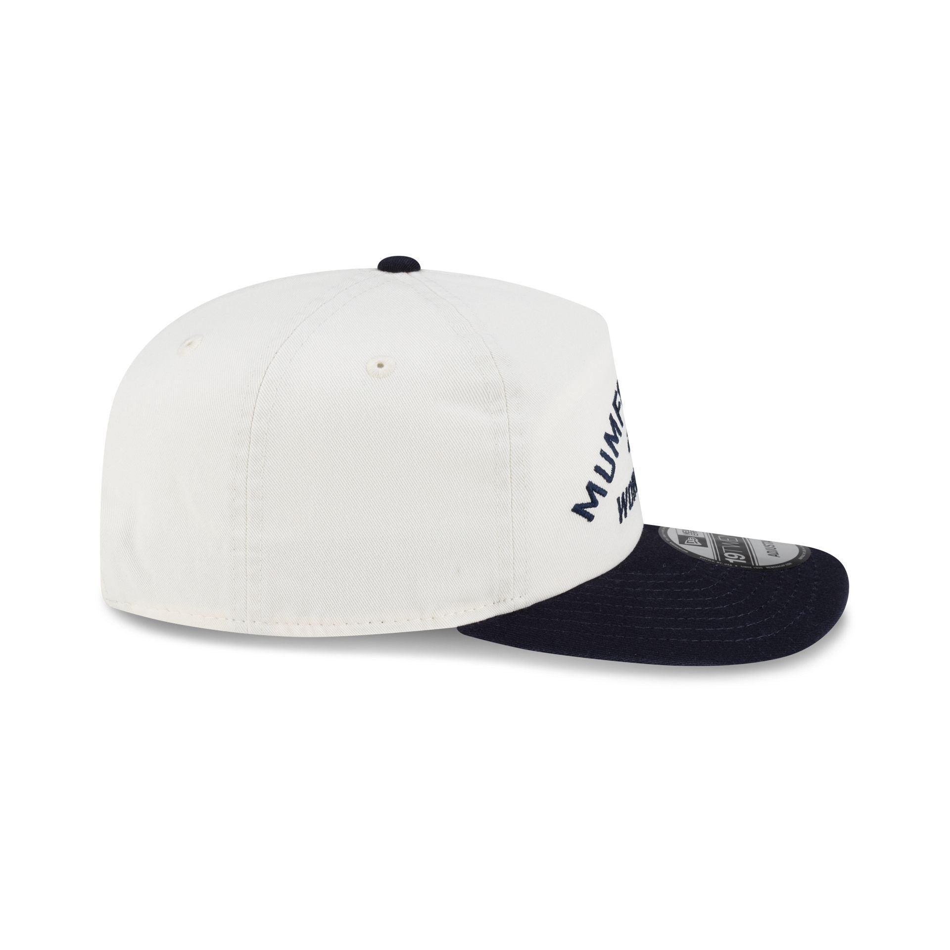 Mumford & Sons x Boston Red Sox Fenway Park 19TWENTY Adjustable Hat