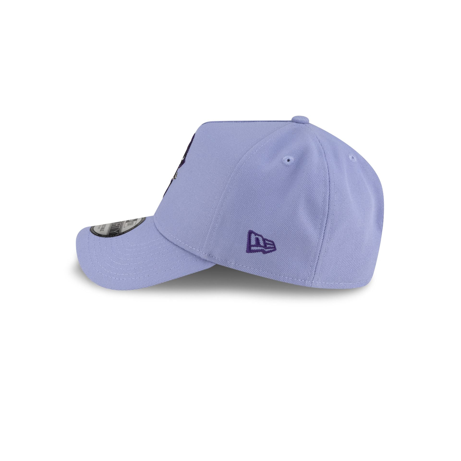 Teen Titans Go! Raven 9FORTY A-Frame Snapback Hat