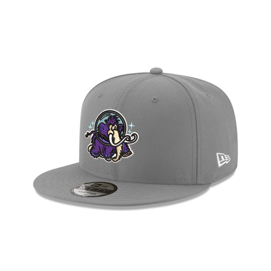 Erie Moon Mammoths Gray 9FIFTY Snapback Hat - New Era Cap