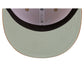 Looney Tunes Wile E. Coyote Camel Brown 59FIFTY Fitted Hat