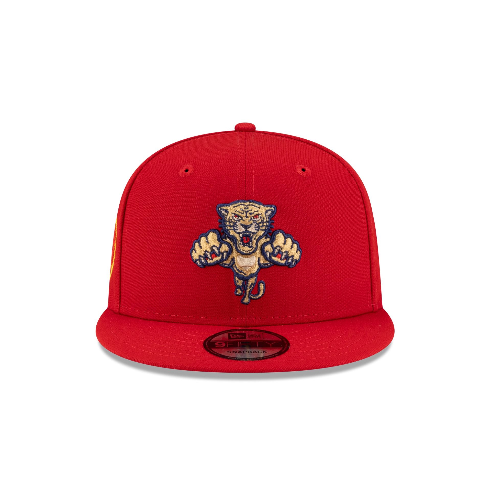 Florida Panthers 2026 Winter Classic 9FIFTY Snapback Hat