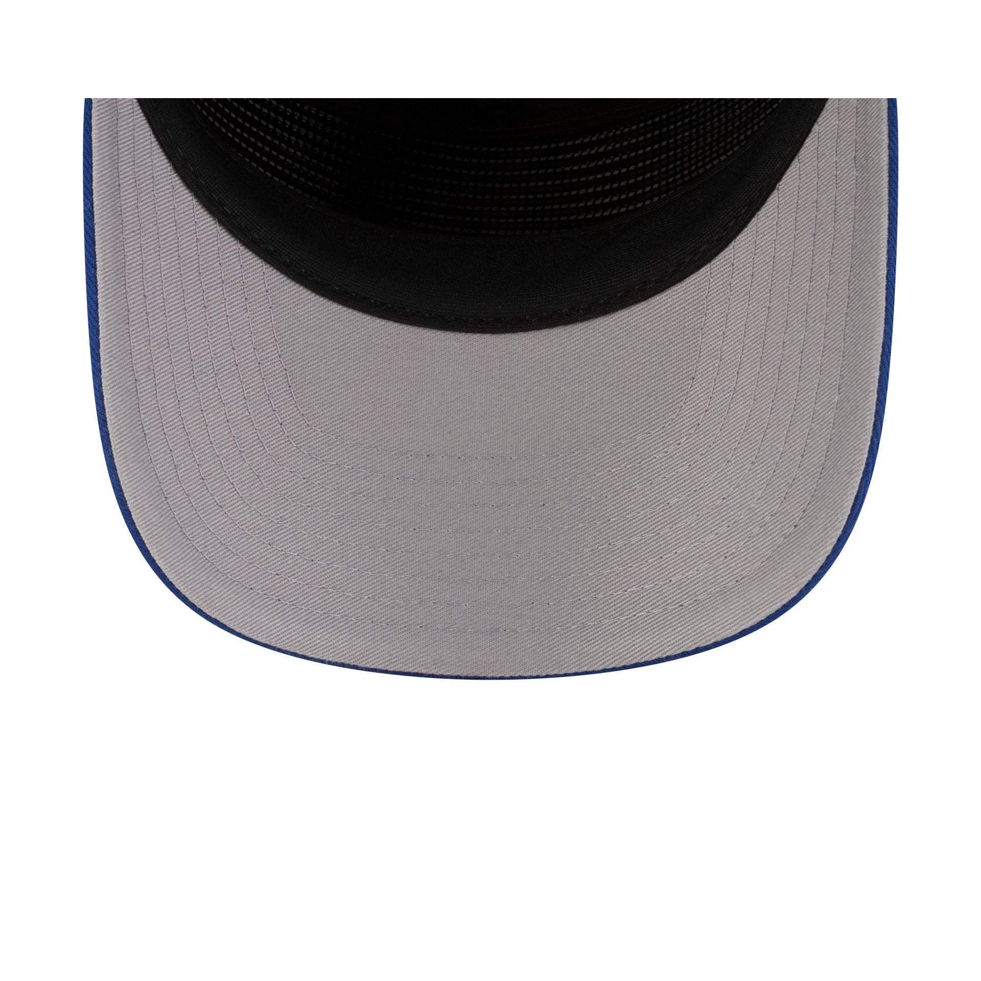 Team USA Winter Olympics Looney Tunes Royal Blue 19TWENTY Adjustable Hat