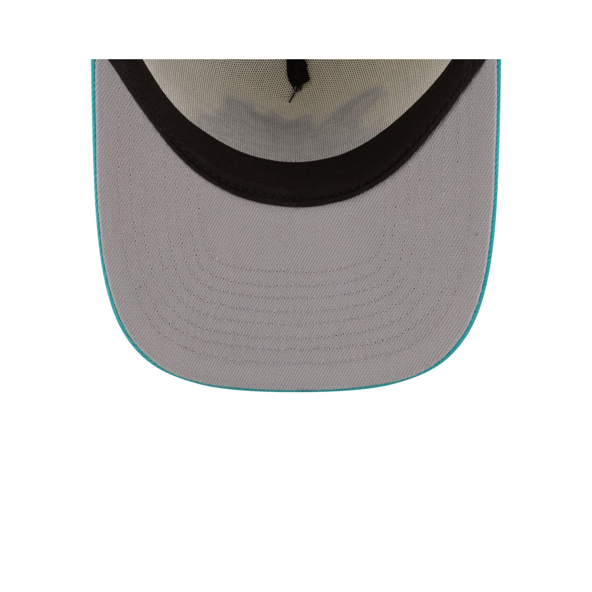 Charlotte Hornets 1988-2002 Hardwood Classics Express Chrome White 9FIFTY A-Frame Snapback Hat