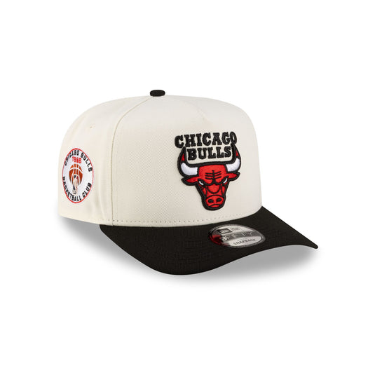 Chicago Bulls 1966-Present Hardwood Classics Express Chrome White 9FIFTY A-Frame Snapback Hat - New Era Cap