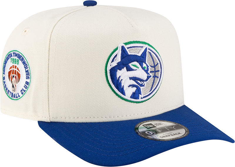Minnesota Timberwolves 1989-1996 Hardwood Classics Express Chrome White 9FIFTY A-Frame Snapback Hat