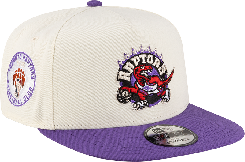 Toronto Raptors 1995-2008 Hardwood Classics Express Chrome White 9FIFTY A-Frame Snapback Hat