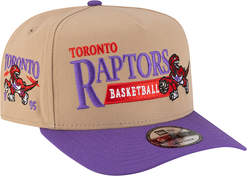 Toronto Raptors 1995-2008 Hardwood Classics Liner Camel 9FIFTY A-Frame Snapback Hat