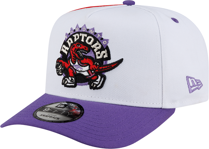 Toronto Raptors Hardwood Classics 90s Panel 9FIFTY A-Frame Snapback Hat