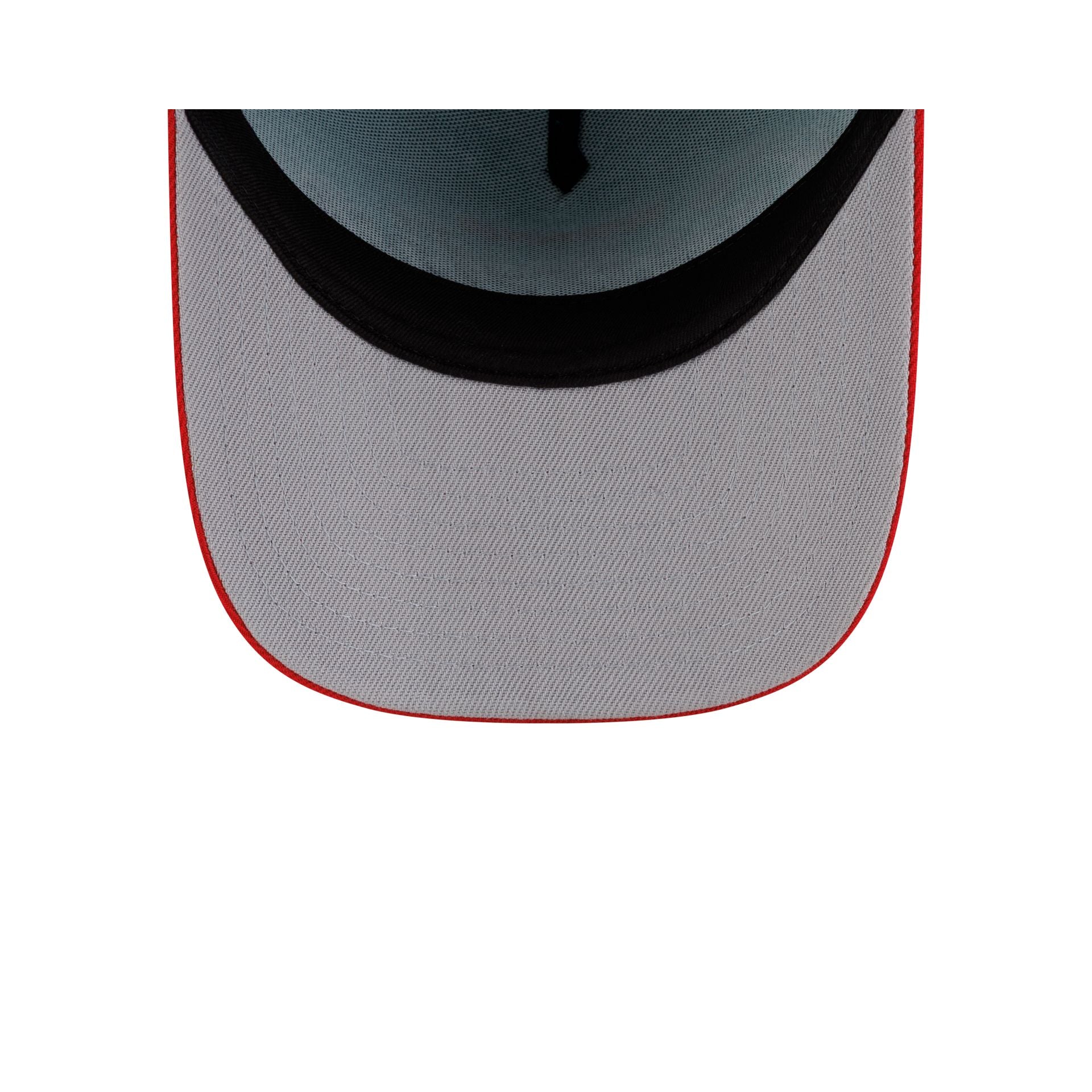 Vancouver Grizzlies Hardwood Classics 90s Script 9FIFTY A-Frame