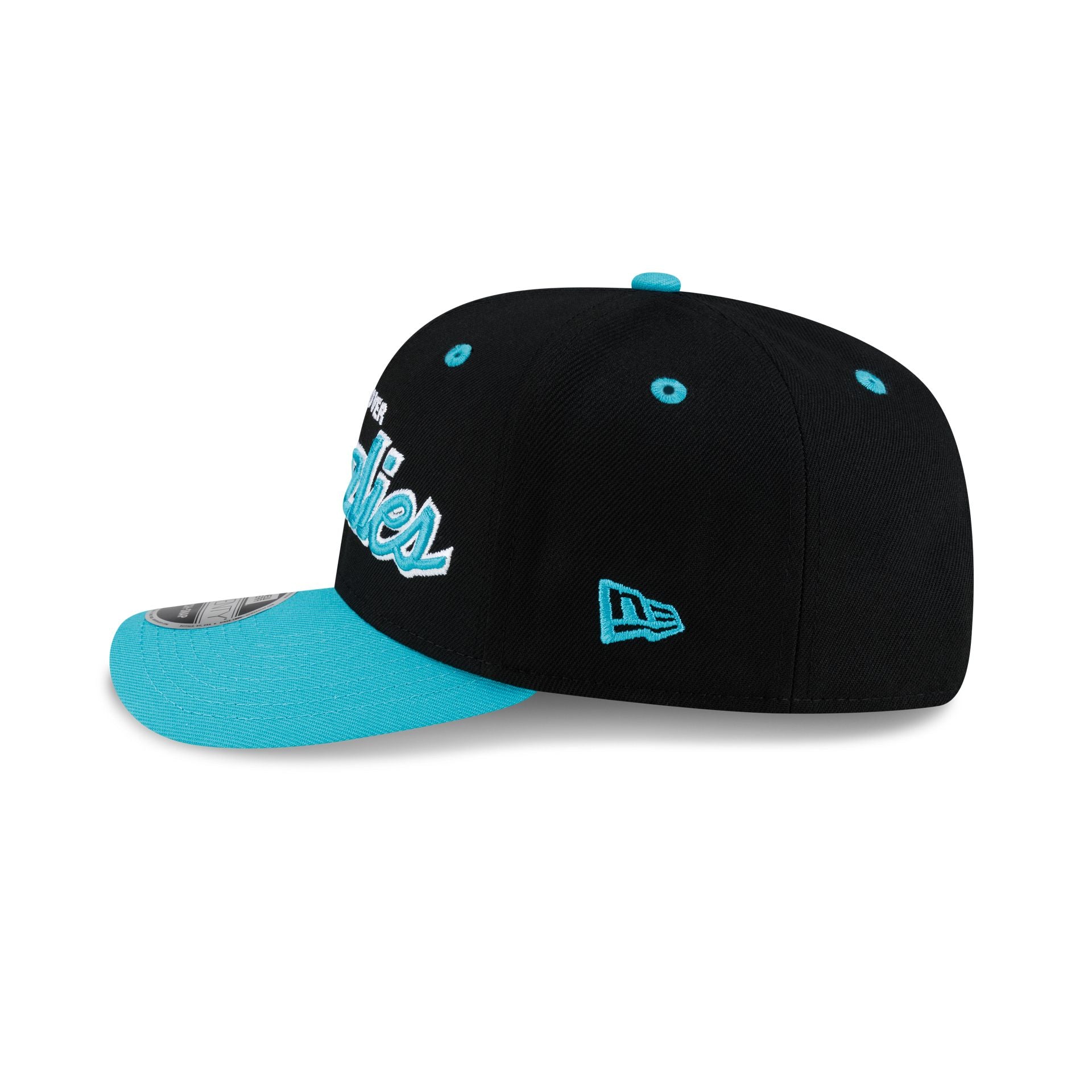 Vancouver Grizzlies Hardwood Classics 90s Script 9SEVENTY Stretch-Snap Hat