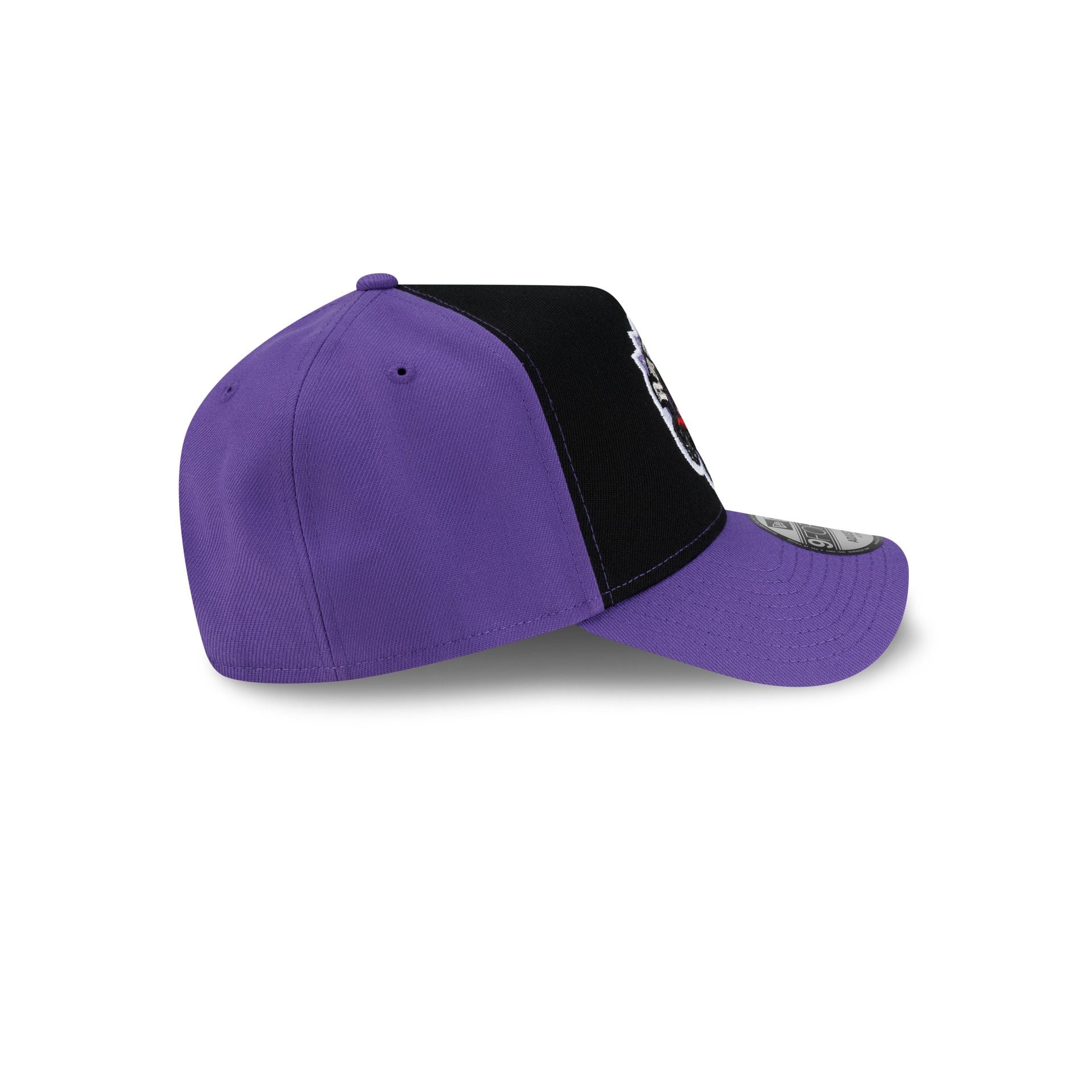 Toronto Raptors Hardwood Classics 2000s 9FORTY A-Frame Snapback Hat