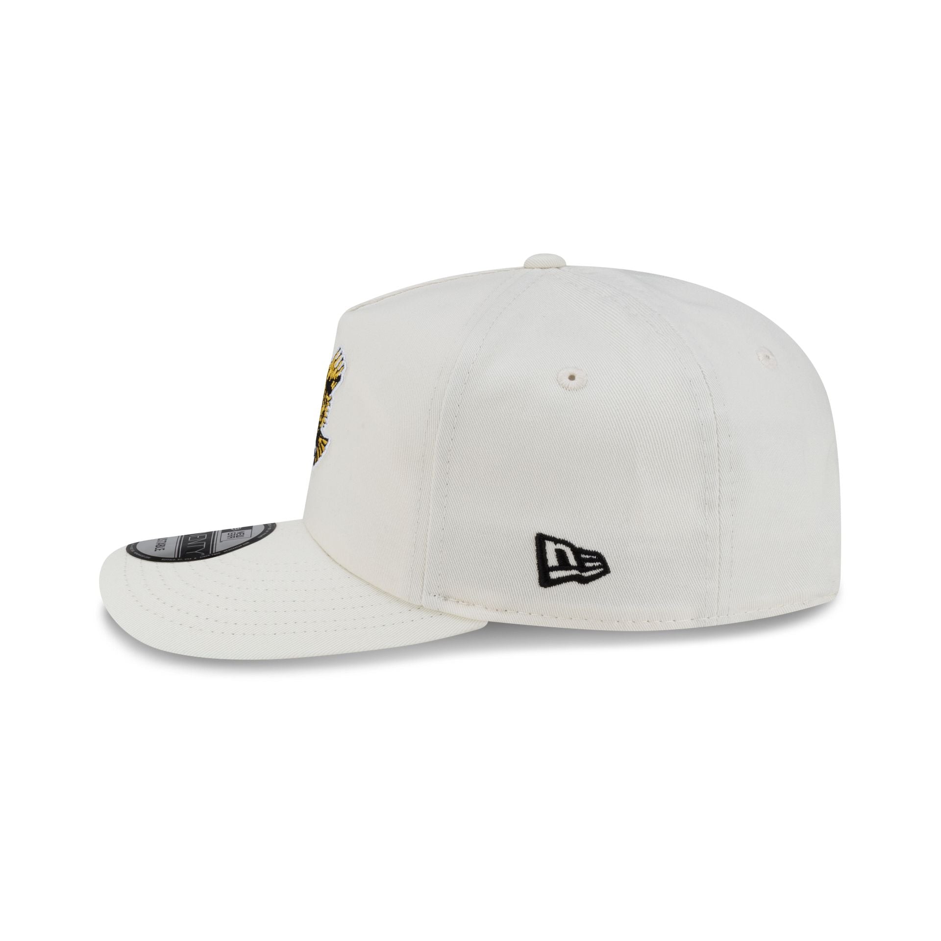 Iowa Hawkeyes Vault Chrome 19TWENTY Snapback Hat