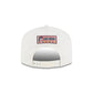 Charlotte Sting Court Origins Chrome White 19TWENTY Snapback Hat