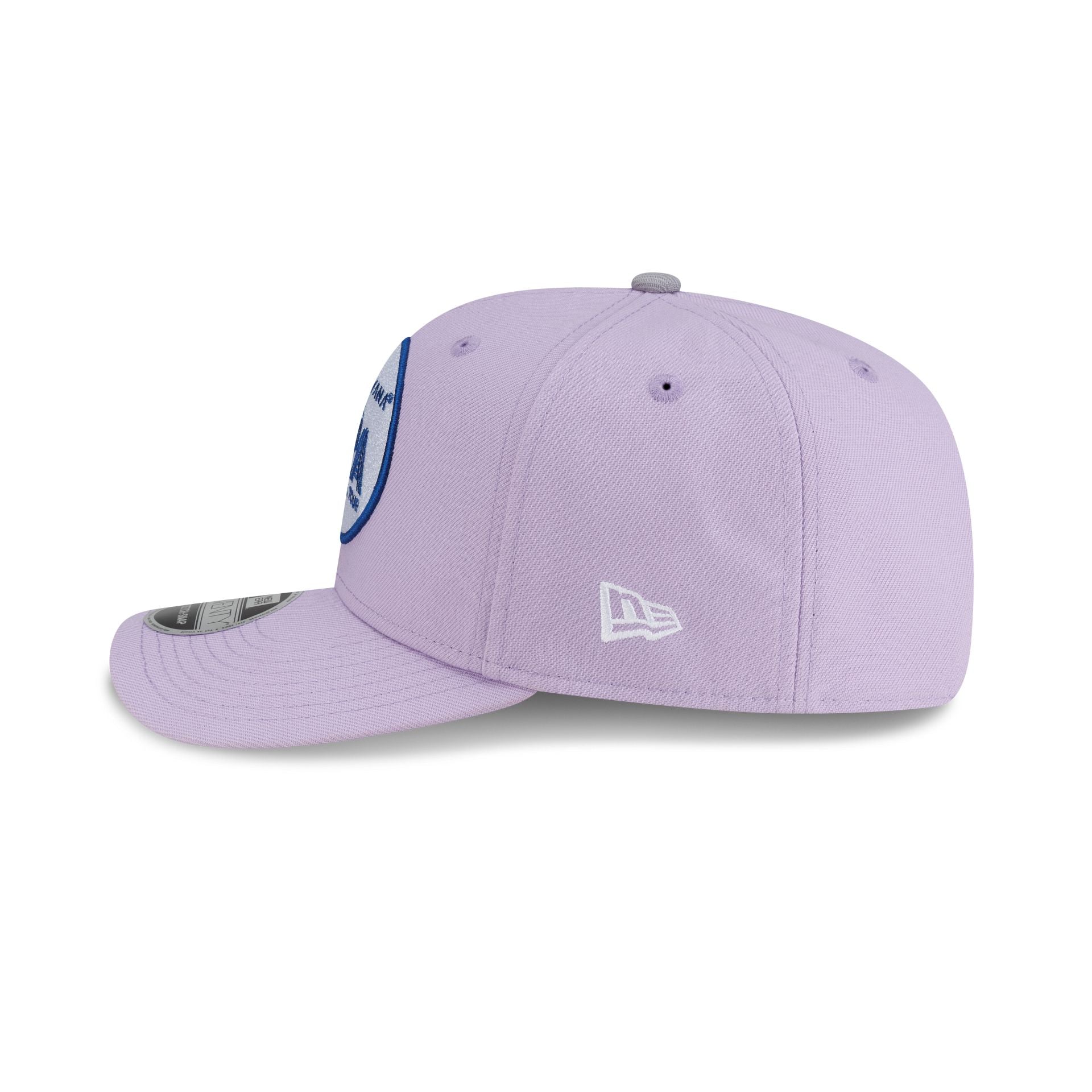Professional Pickleball Association Carvana Pickleball Tour Purple