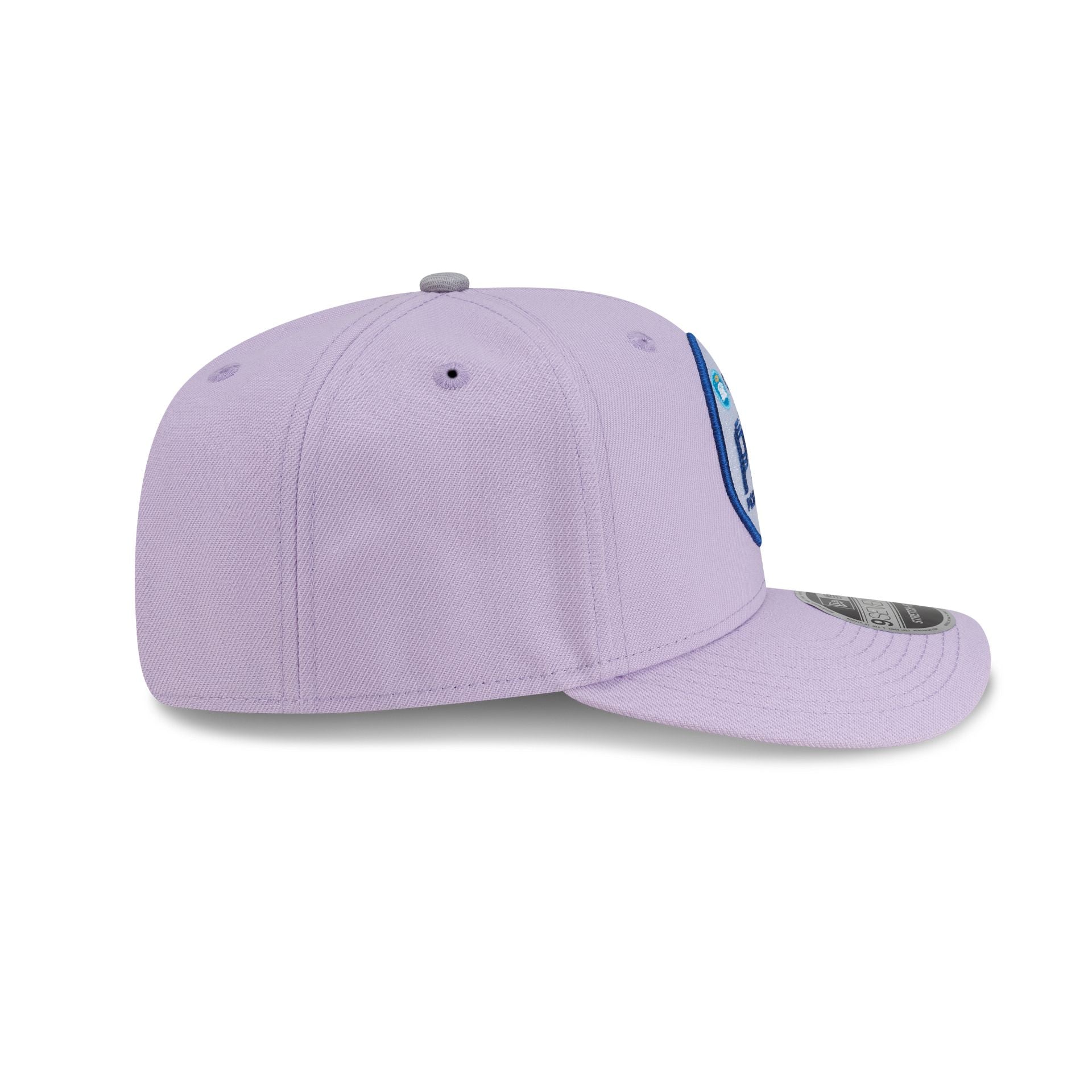 Professional Pickleball Association Carvana Pickleball Tour Purple