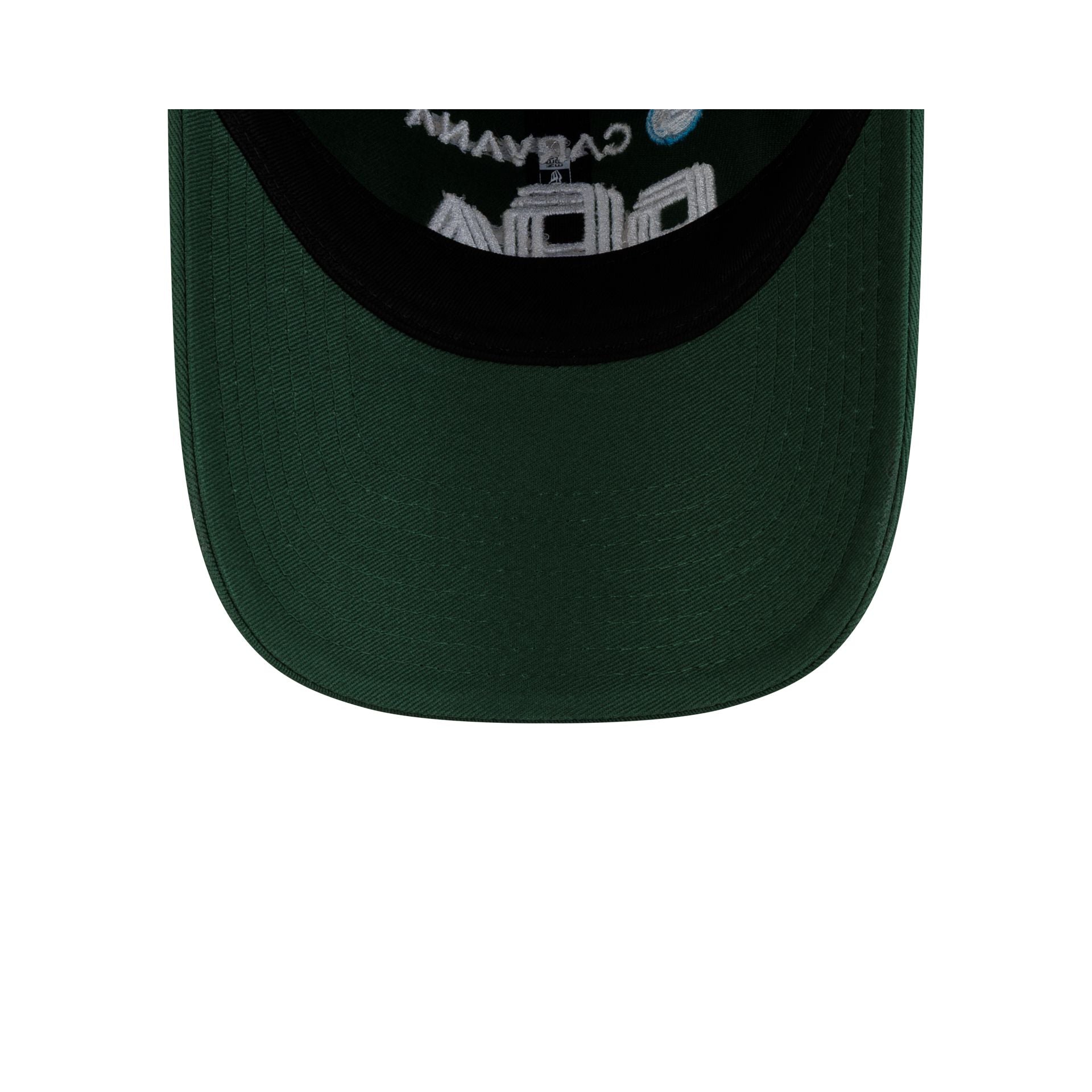 Professional Pickleball Association Carvana Pickleball Tour Green