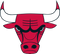 Chicago Bulls logo