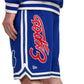 Chicago Cubs Coop Logo Select Shorts