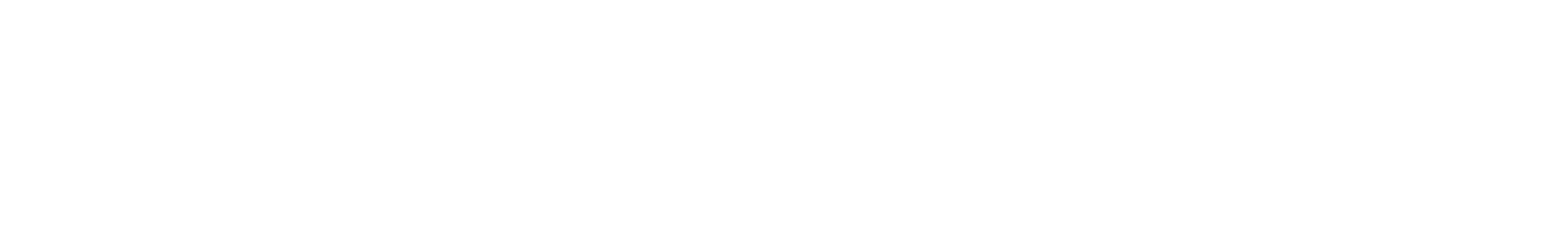 THE 90S