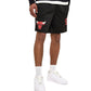Toronto Raptors Mesh Shorts