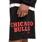 Toronto Raptors Mesh Shorts