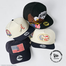 USA 250thimage