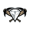 West Tennessee Diamond Jaxx