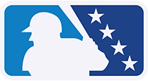 <p>MiLB</p>