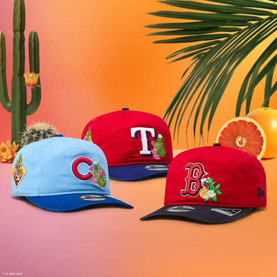 MLB Spring Trainingimage